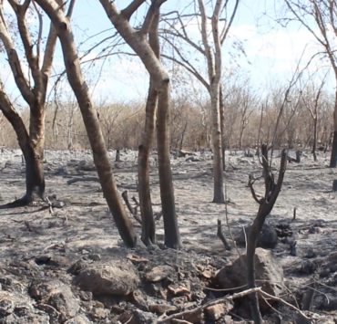 Incendios en Mérida