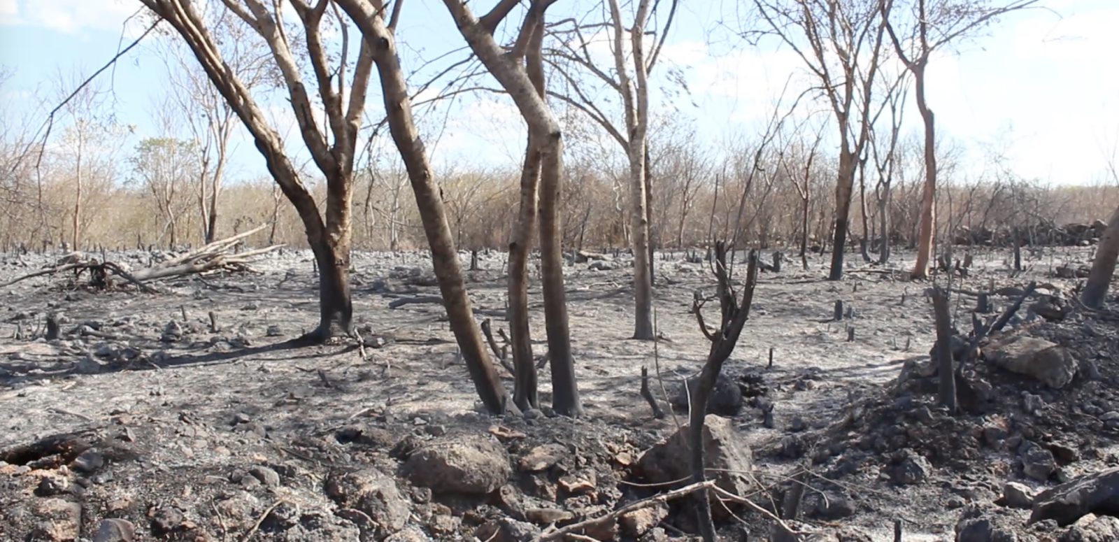 Incendios en Mérida